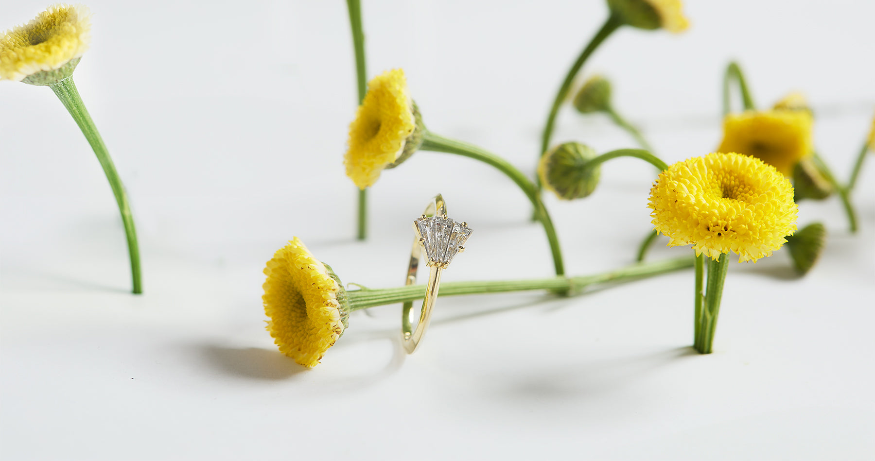 Alternative Bridal Collection