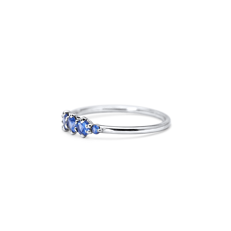 14K White Gold Blue Sapphire Fashion Ring
