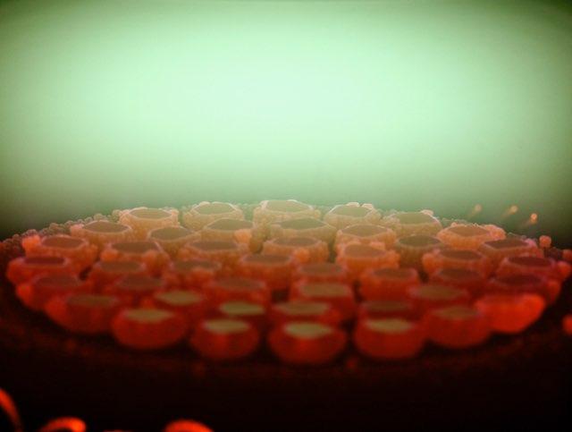 Lab-Grown Diamond FAQ